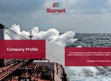 Sanet Company Profile 2024