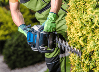 Jardinier taille une haie