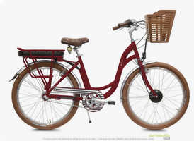location vélo électrique adulte Sarzeau Presqu'île de Rhuys - Camping La Grée Penvins