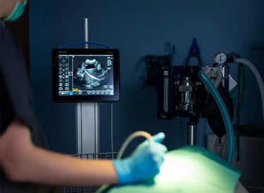 Ecografo veterinario