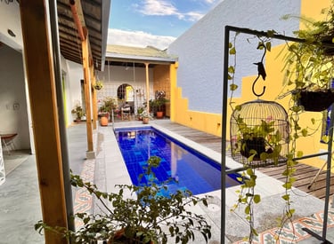 Modern courtyard with a narrow blue lap pool, potted plants, and colorful walls under a blue sky.
