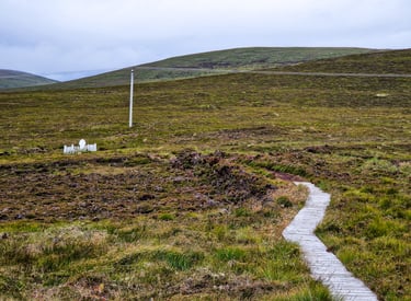 Betty Corrigall's grave Hoy