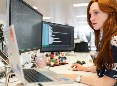 Web Development