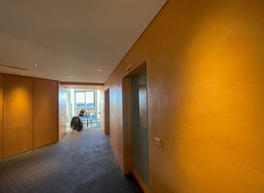 enduit et stuc chaux plâtre sur mesure tour luma