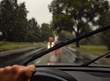 Windshield Seal Replacement