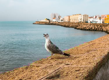 Nordspanien Atlantikküste