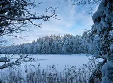 Estland Pauschalreise