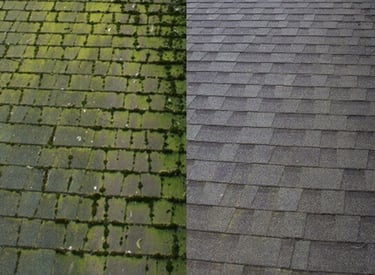 Before and after moss removal from asphalt shingle roof.