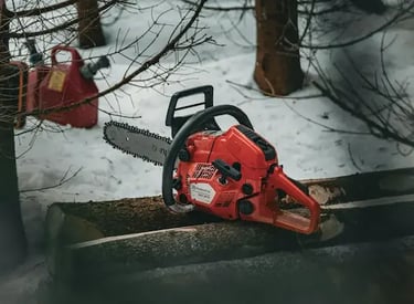 tree felling somerset west
