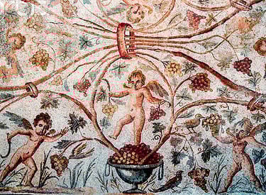 mosaique musée d'hippone