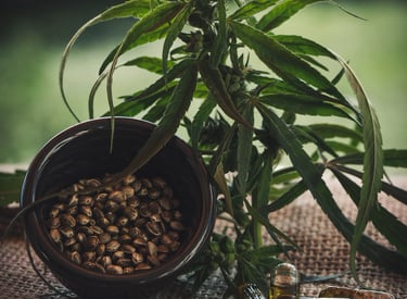 Natural herbal products crafted for wellness and vitality.