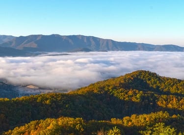 Ocean of clouds hovering between late summer appalachian mountains