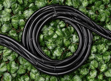Black industrial cable coil resting on a lush bed of green ivy leaves for outdoor wiring.