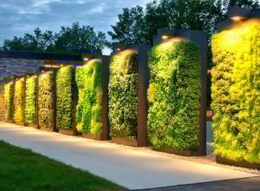 Illuminated outdoor vertical garden panels with lush green plants along a modern walkway.