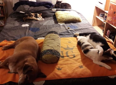 When everyone was young and small enough to share one bed :) 