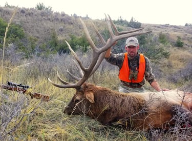 Missouri Breaks Bull