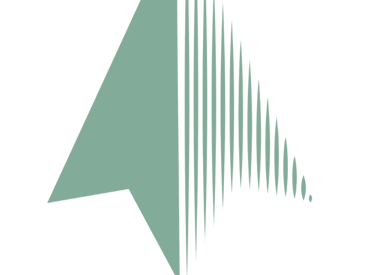 a logo for the embeddeded measurement system