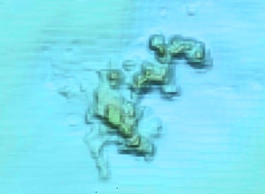 Louisiana Sonar Image