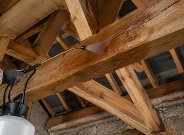 Rénovation de charpente en bois