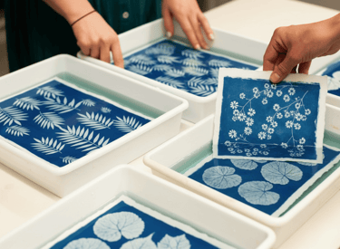 Artista rrevelando cianotipias azul con patrones botánicos de hojas en bandeja