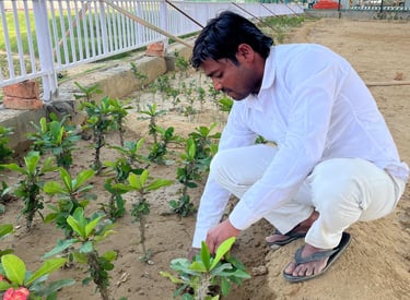 Landscaping in Delhi NCR by Garden Oasis