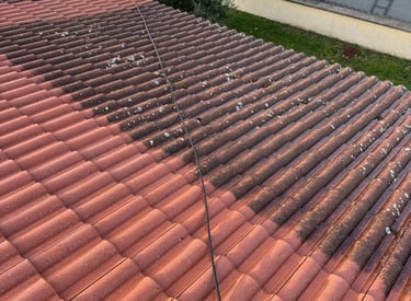 demoussage toiture lyon