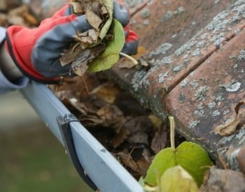 nettoyage gouttière Grand Lyon