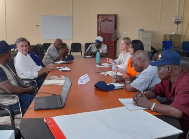 Dr Bolaji Taiwo, Strategic Leadership for National Governments & International Donors