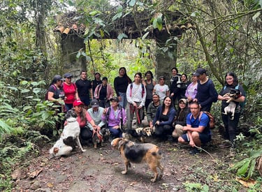Un grupo de excursionistas con sus perros posando bajo un arco de piedra en un sendero de selva.