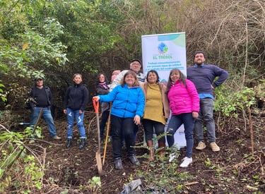 Equipo de EcoRumbo en jornada de plantación junto a la comunidad en Chiloé, promoviendo restauración