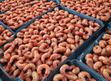 Various fresh fish and seafood are displayed on a market counter. Several types of fish, including silver and blue-toned fish, are arranged neatly in trays. Ice is used to keep the seafood fresh, and the setting appears to be a busy fish market with a variety of seafood offerings.