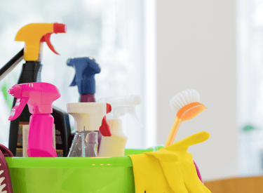 Produits d'entretien écologiques