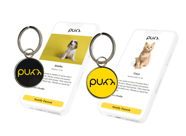 Purr Tags with Dog & Cat Lost Mode