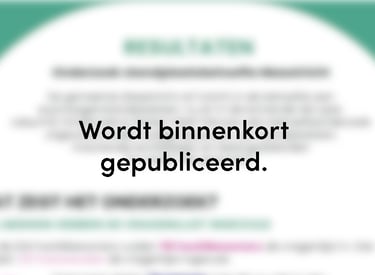 Co-creatie infographic met standplaatsbewoners over hun behoeften – grafisch ontwerp Utrecht