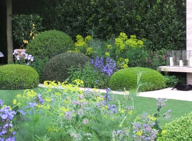 vormsnoei en mooie beplanting