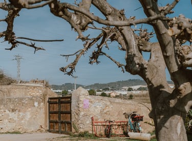La porta marró és la porta d'entrada a l'Hortotal, al Torrent de la Pastera de Vilanova. Parking.