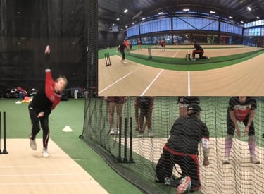 High performance programs utilising detailed video analysis