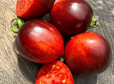 GARGAMEL HEIRLOOM TOMATO