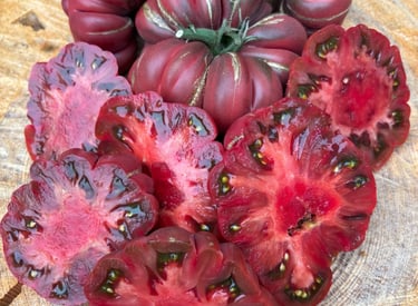 ZAPOTEC BROWN FLESH - Rare Mexican Heirloom 