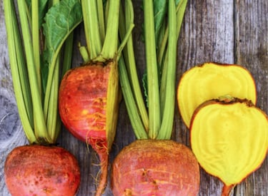 BURPEES GOLDEN HEIRLOOM BEETROOT