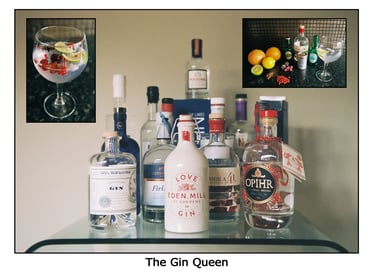photo of gin, gin glass and botanicals