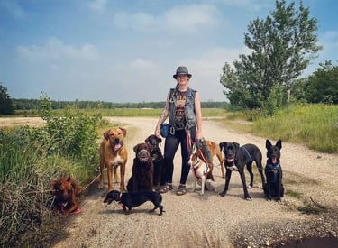 Nora von Cani Crew Leipzig - Dogwalking 
