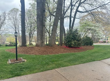 Landscape mulch installation in Newton NC around trees and backyard planting beds