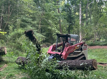 Land clearing with skid steer in Catawba County NC removing brush, small trees, and debris