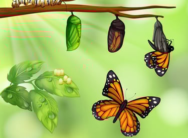 Transformative Results