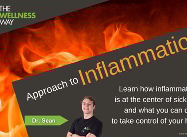Dr. Sean Inflammation Talk