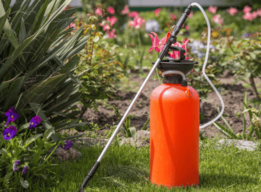 Professional lawn spraying service in Cary applying fertilizer and weed control treatment to lawn