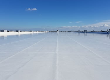 TPO Roof