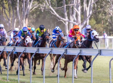Horses Racing