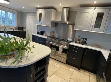 kitchen and a green plant